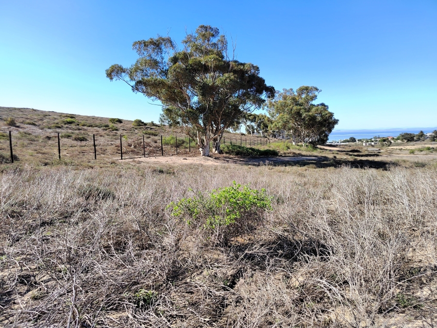 0 Bedroom Property for Sale in St Helena Views Western Cape